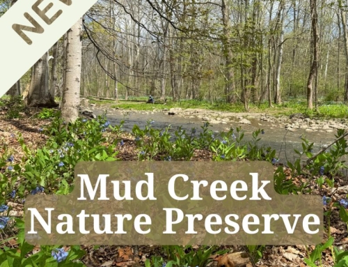 Where Nature Is Your Neighbor